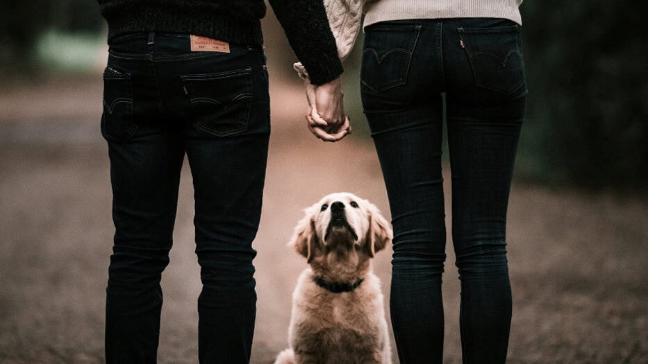 mijn hond is jaloers