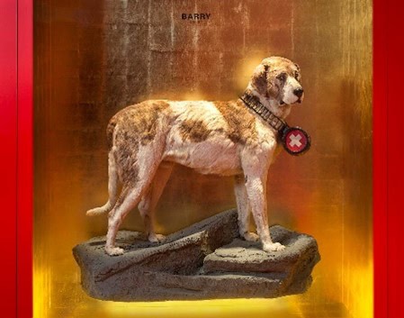 beroemde honden: Barry