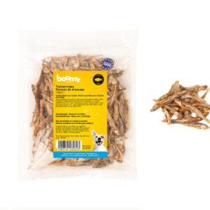 Trainervisjes 100g