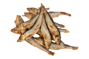 Poisson