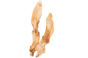 Lapin