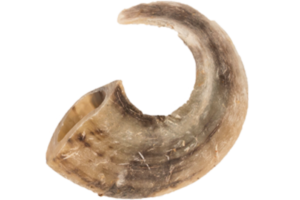 Agneau